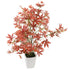 Artificial 1ft 7" Red Japanese Maple Tree